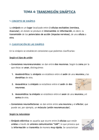Miniatura del documento TEMA-4.pdf
