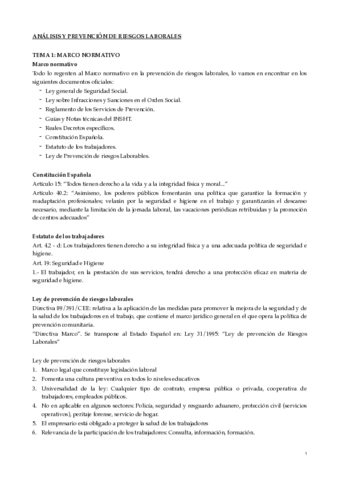 Miniatura del documento RESUMEN-PREVENCION.pdf