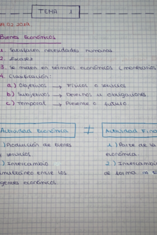 Miniatura del documento apuntes-t1-financieras.pdf