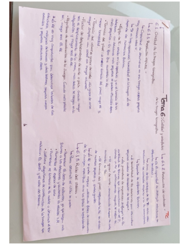 Miniatura del documento Tema-6.pdf