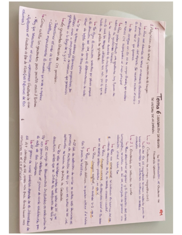 Miniatura del documento Tema-6.pdf