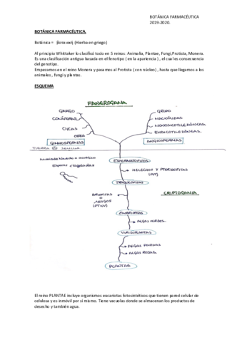 Miniatura del documento botanica-bloque-introduccion-.pdf
