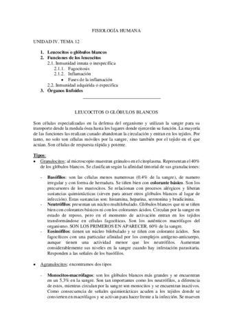 Miniatura del documento Unidad-4.pdf