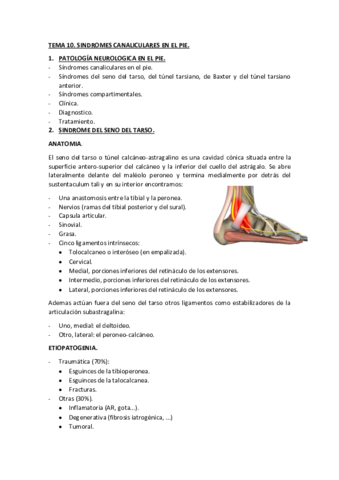 Miniatura del documento TEMA-10.pdf