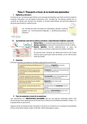 Miniatura del documento Tema-2.pdf