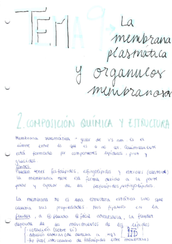 Miniatura del documento TEMA-9.pdf
