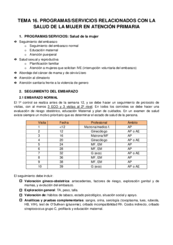Miniatura del documento TEMA-16.pdf
