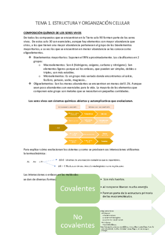 Miniatura del documento TEMA-1.pdf