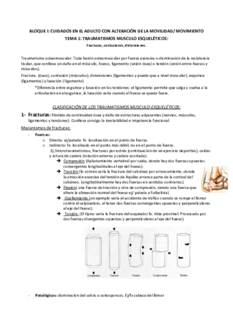 Miniatura del documento tema-1-y-2.pdf