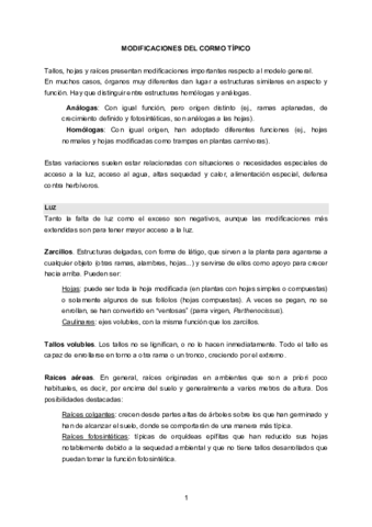 Miniatura del documento Modificacionesdelcormo.pdf