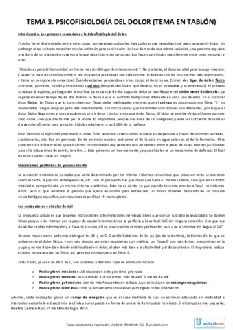 Miniatura del documento Tema_3.pdf