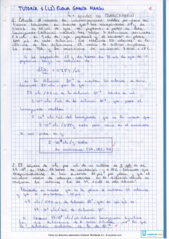 Miniatura del documento PROBLEMAS_RECUENTO.pdf