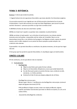 Miniatura del documento APUNTS PA 5.pdf