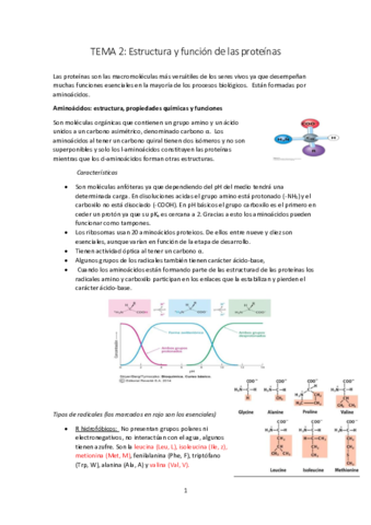 Miniatura del documento TEMA-2.pdf