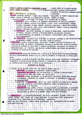 Miniatura del documento NuevoDocumento 23.pdf