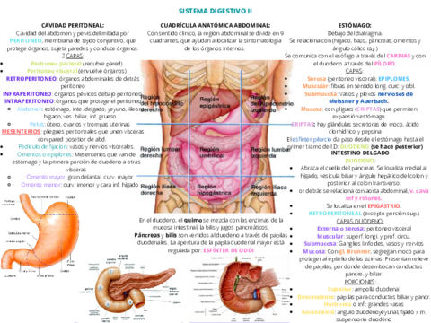 Miniatura del documento SISTEMA-DIGESTIVO-II.pdf