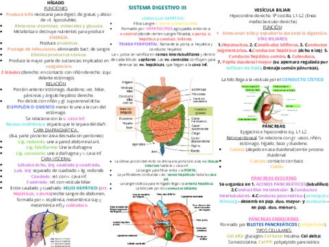 Miniatura del documento SISTEMA-DIGESTIVO-III.pdf