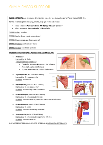 Miniatura del documento SNM-MIEMBRO-SUPERIOR.pdf