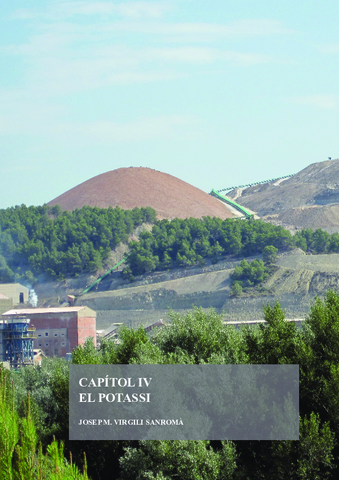 Miniatura del documento Potassi.pdf