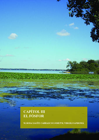 Miniatura del documento Fosfor.pdf