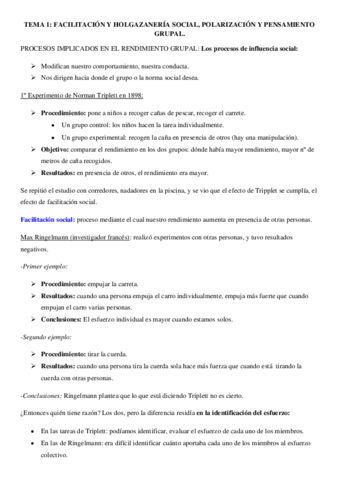 Miniatura del documento TEMA-1.pdf