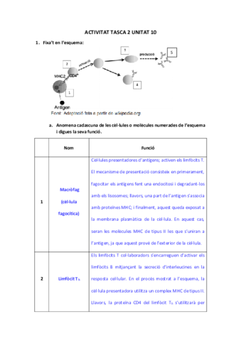 Miniatura del documento GONZALOCarles-ACTIVITAT-TASCA-2-UNITAT-10.pdf