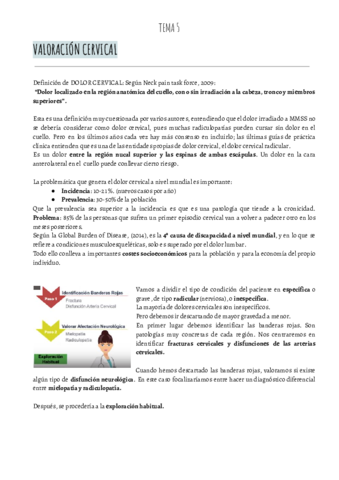 Miniatura del documento VALORACION-IBAI.-Tema 5. CERVICALpdf