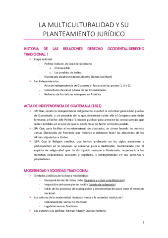 Miniatura del documento La-multiculturalidad-y-su-planteamiento-juridico.pdf