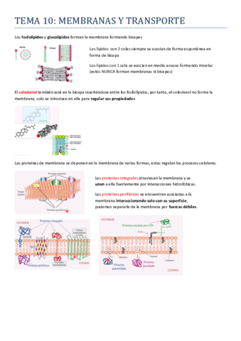 Miniatura del documento TEMA-10.pdf
