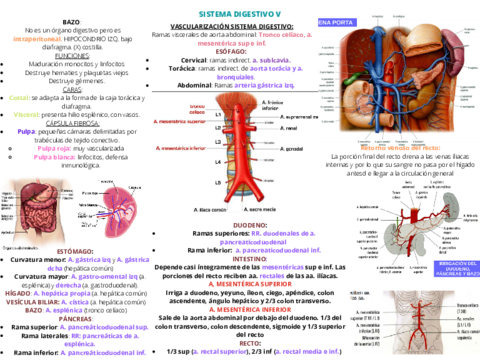 Miniatura del documento SISTEMA-DIGESTIVO-V.pdf