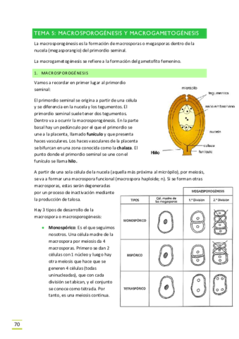 Miniatura del documento TEMA-8.pdf