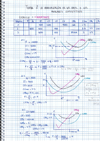 Miniatura del documento Ejercicios-T2-resueltos-micro.pdf
