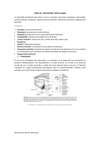 Miniatura del documento Tema-26.pdf