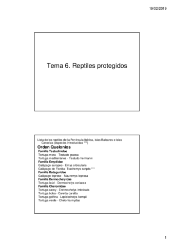 Miniatura del documento Tema-6-Reptiles-protegidos-Modo-de-compatibilidad.pdf