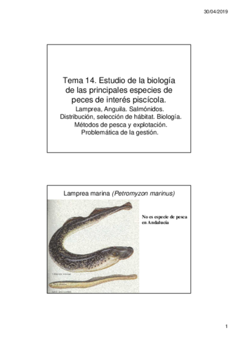 Miniatura del documento Tema-14.pdf