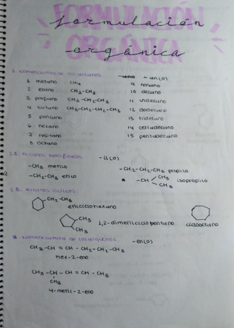 Miniatura del documento Formulacion-Organica.pdf