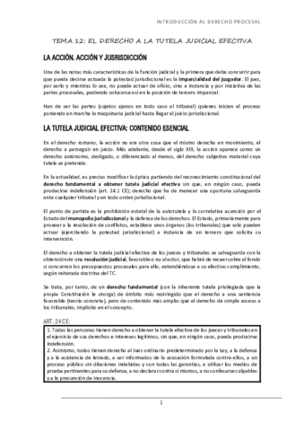 Miniatura del documento TEMA-12-EL-DERECHO-A-LA-TUTELA-JUDICIAL-EFECTIVA.pdf