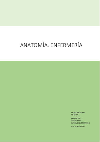 Miniatura del documento TEMARIO-fini.pdf