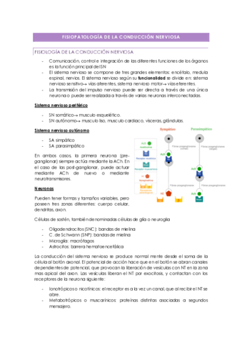 Miniatura del documento FISIOPATOLOGIA-DE-LA-CONDUCCION-NERVIOSA.pdf