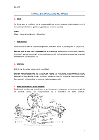 Miniatura del documento TEMA-12-RSH.pdf
