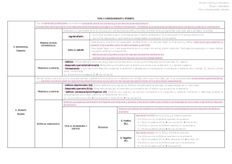 Miniatura del documento Tema-4.pdf