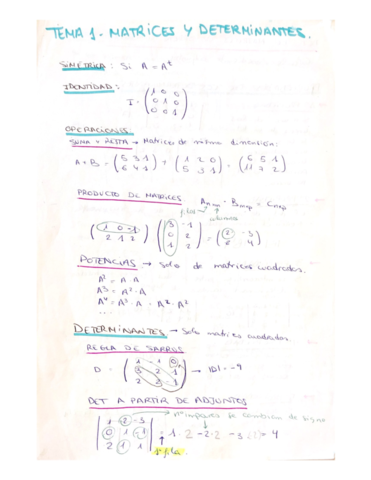 Miniatura del documento Tema-1-Mates-2o-Bach.pdf