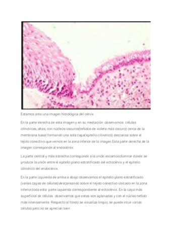 Miniatura del documento Descripcion-3.pdf
