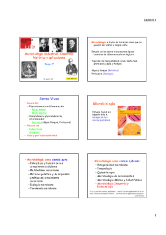 Miniatura del documento Tema 1.pdf