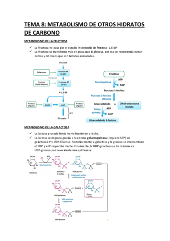 Miniatura del documento bqqqqq-8.pdf