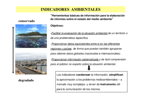 Miniatura del documento TEMA-14-BFC.pdf