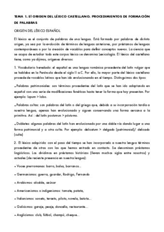 Miniatura del documento lengua.pdf