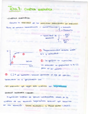 Miniatura del documento TEMA 7 BIOQUIMICA.pdf