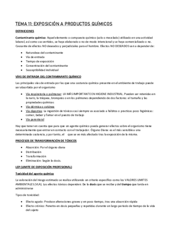 Miniatura del documento tema-11-PASADO.pdf