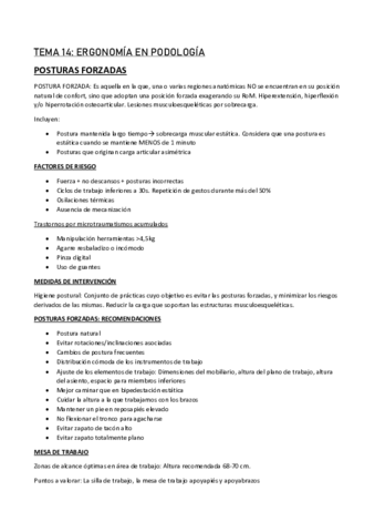 Miniatura del documento tema-14-pasado.pdf